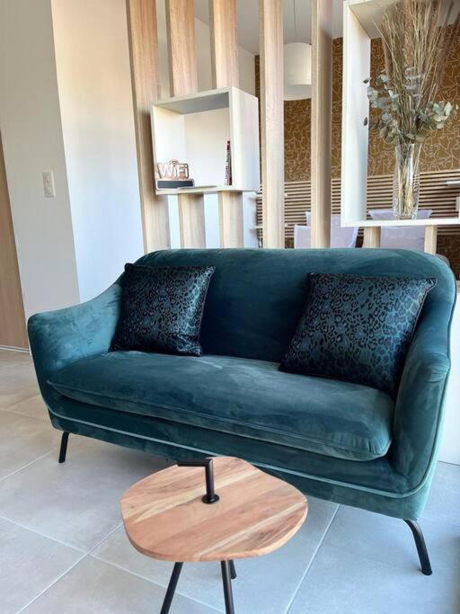 Appartement Centre De Roanne 38M2 Zewnętrze zdjęcie